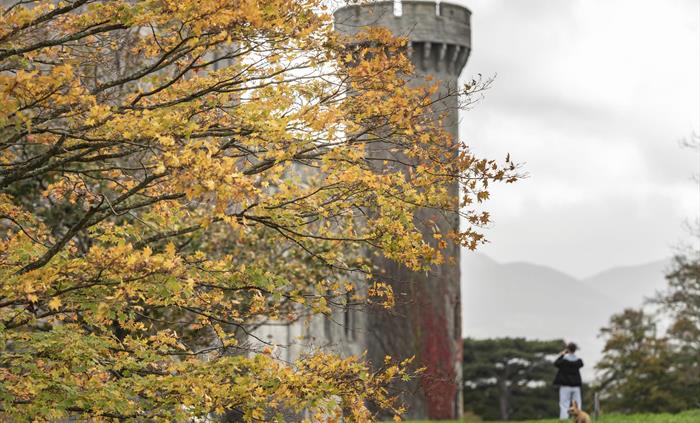 Golden trees in front of the castle